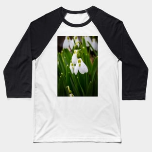 Snowdrops 3 Baseball T-Shirt